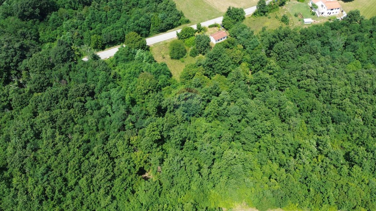 ISTRIA, ŽMINJ – Beautiful Estate with Building Land