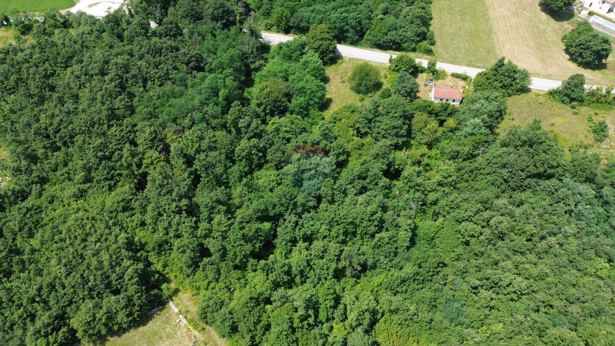 ISTRIA, ŽMINJ – Beautiful Estate with Building Land