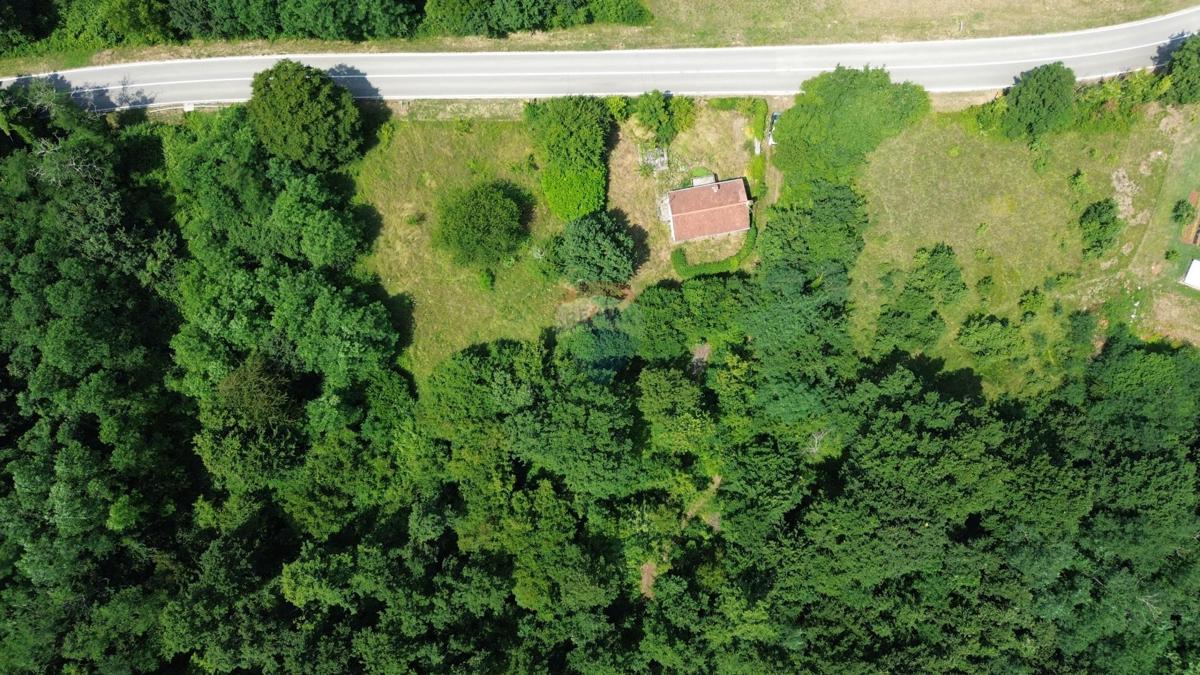 ISTRIA, ŽMINJ – Beautiful Estate with Building Land
