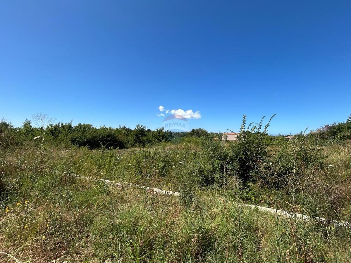 Stavbno zemljišče Višnjan, 981m2