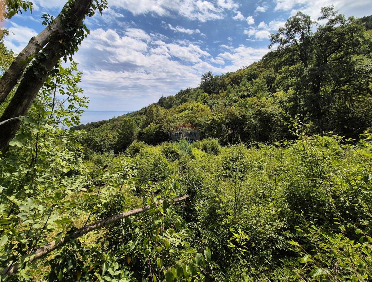 Stavbno zemljišče Veprinac, Opatija - Okolica, 3.304m2