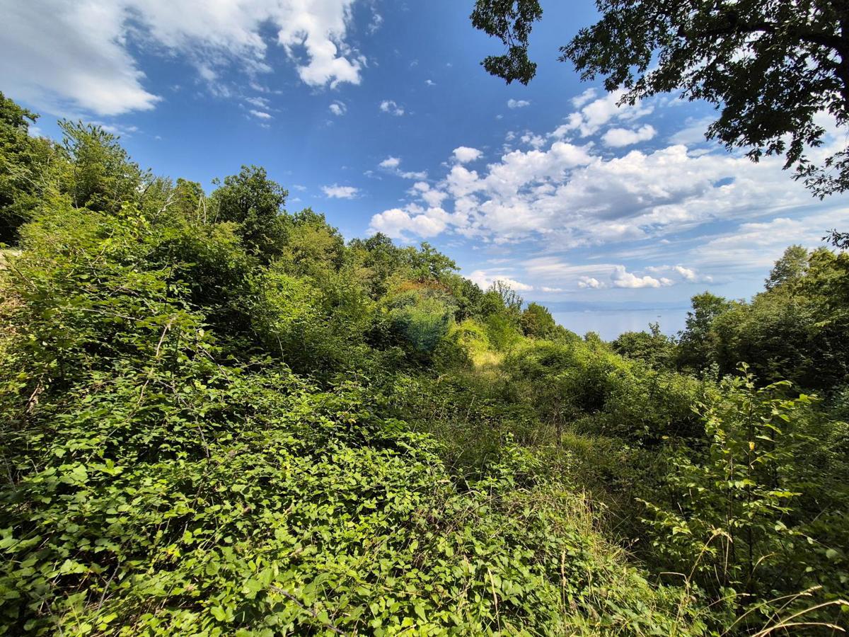 Stavbno zemljišče Veprinac, Opatija - Okolica, 3.304m2