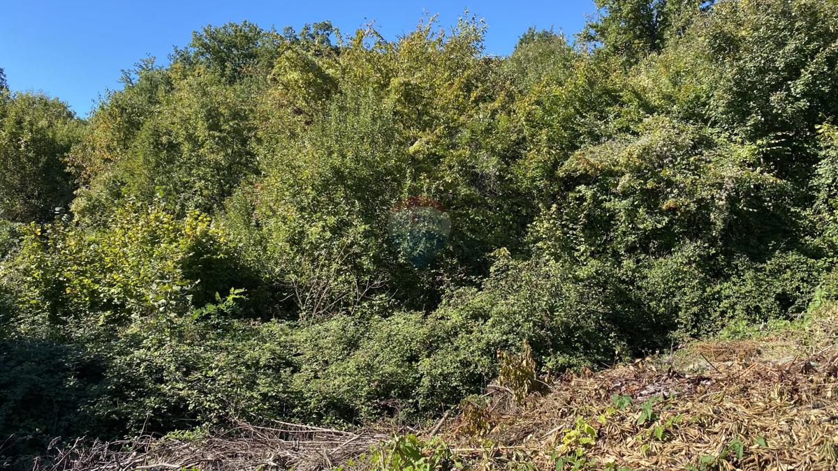 Stavbno zemljišče Veprinac, Opatija - Okolica, 8.321m2