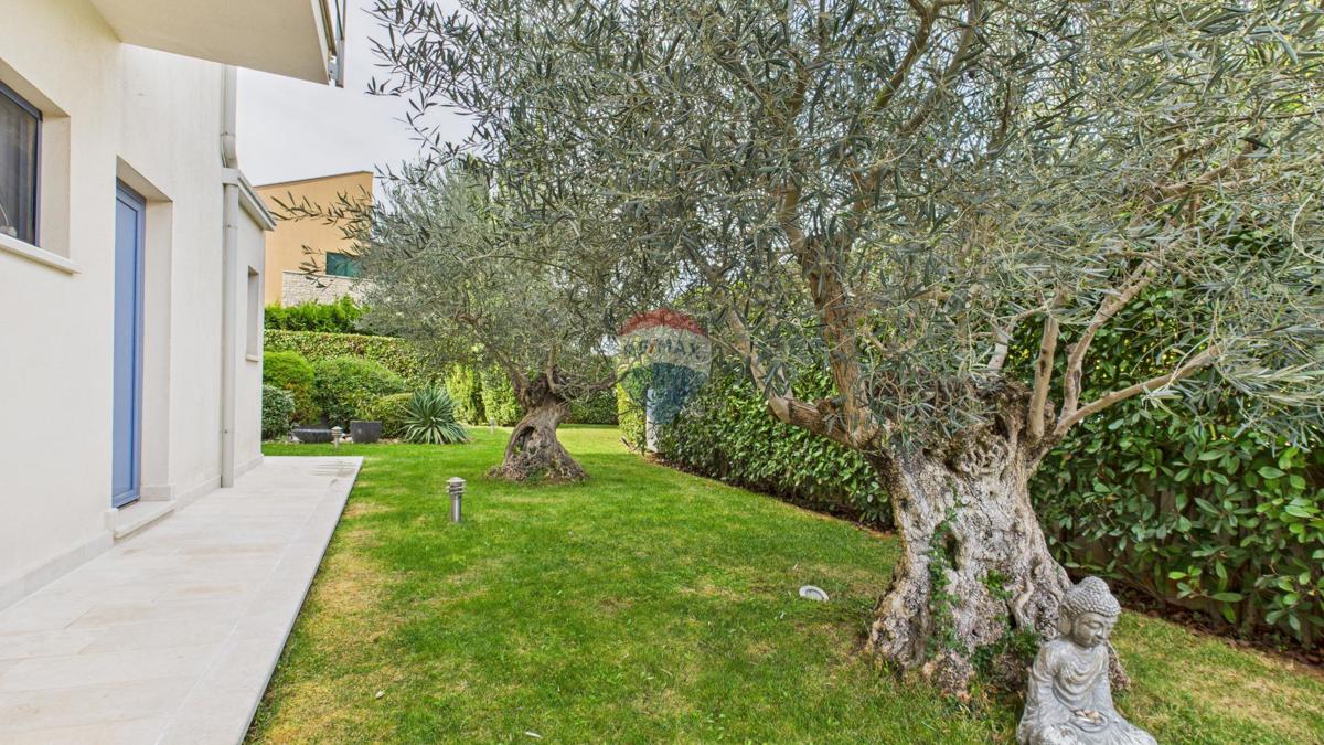 Hiša Sveti Lovreč, 230m2