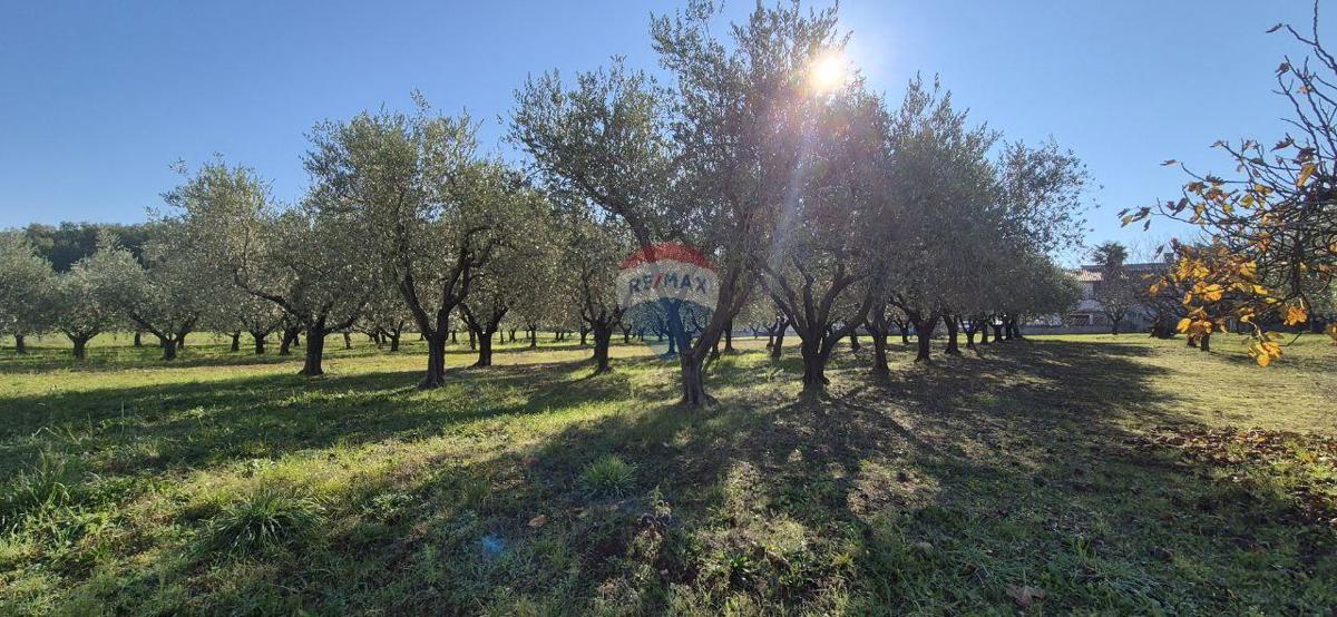 Stavbno zemljišče Poreč, 1.801m2
