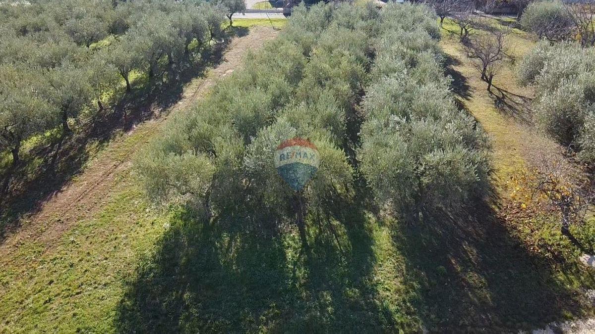 Stavbno zemljišče Poreč, 1.801m2