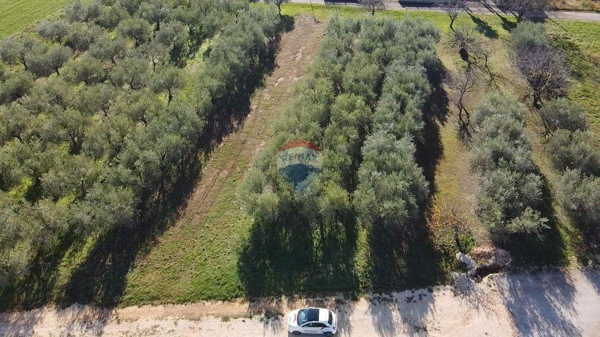 Stavbno zemljišče Poreč, 1.801m2