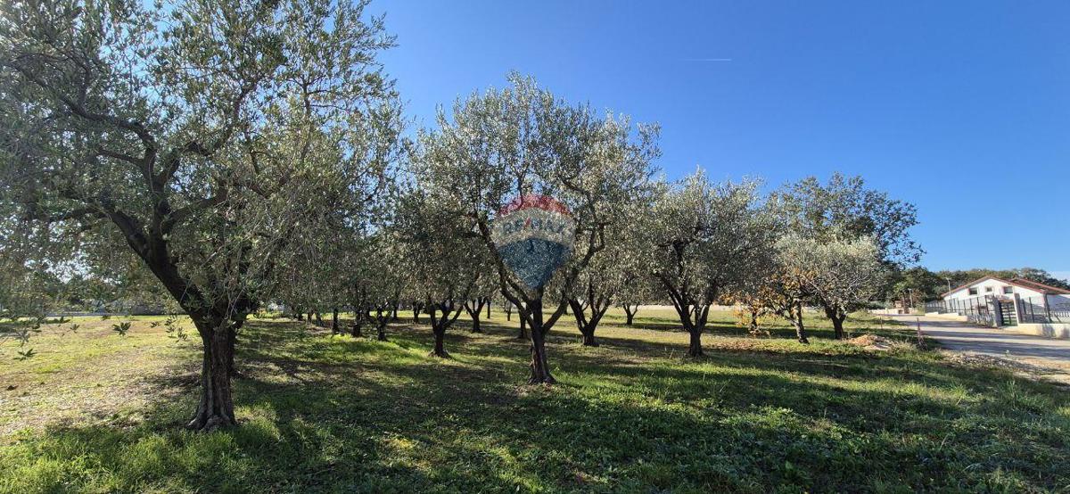 Stavbno zemljišče Poreč, 1.801m2