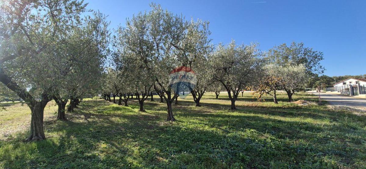 Stavbno zemljišče Poreč, 1.801m2