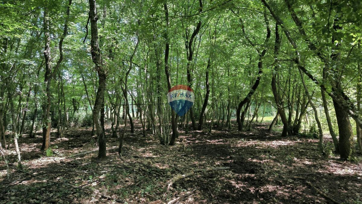 Stavbno zemljišče Kaštelir, Kaštelir-Labinci, 2.418m2