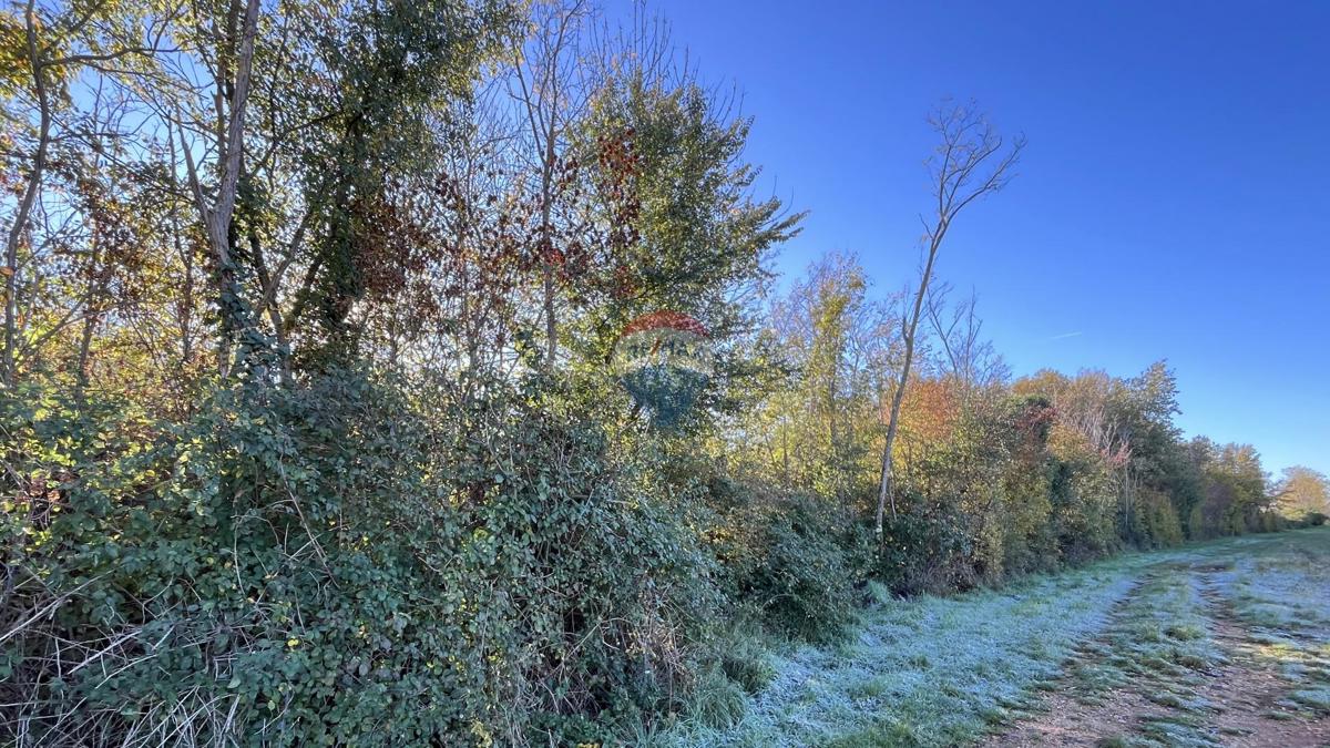 Stavbno zemljišče Kaštelir, Kaštelir-Labinci, 2.418m2