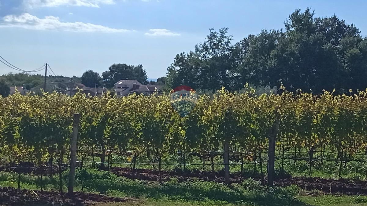 Stavbno zemljišče Baldaši, Vižinada, 1.125m2