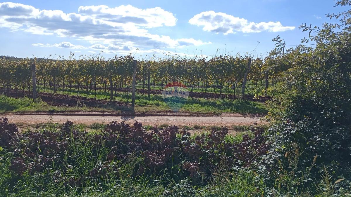 Stavbno zemljišče Baldaši, Vižinada, 1.125m2