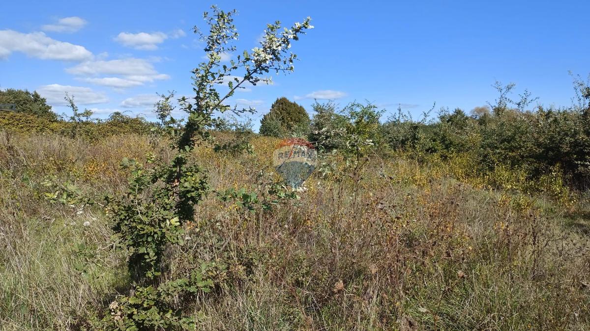 Stavbno zemljišče Baldaši, Vižinada, 1.125m2