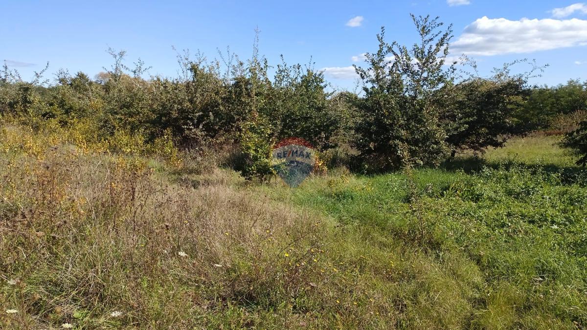 Stavbno zemljišče Baldaši, Vižinada, 1.125m2