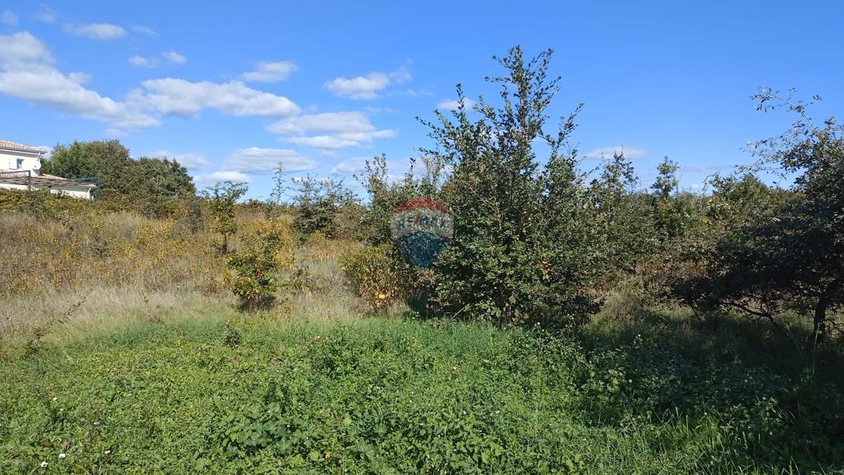 Stavbno zemljišče Baldaši, Vižinada, 1.125m2