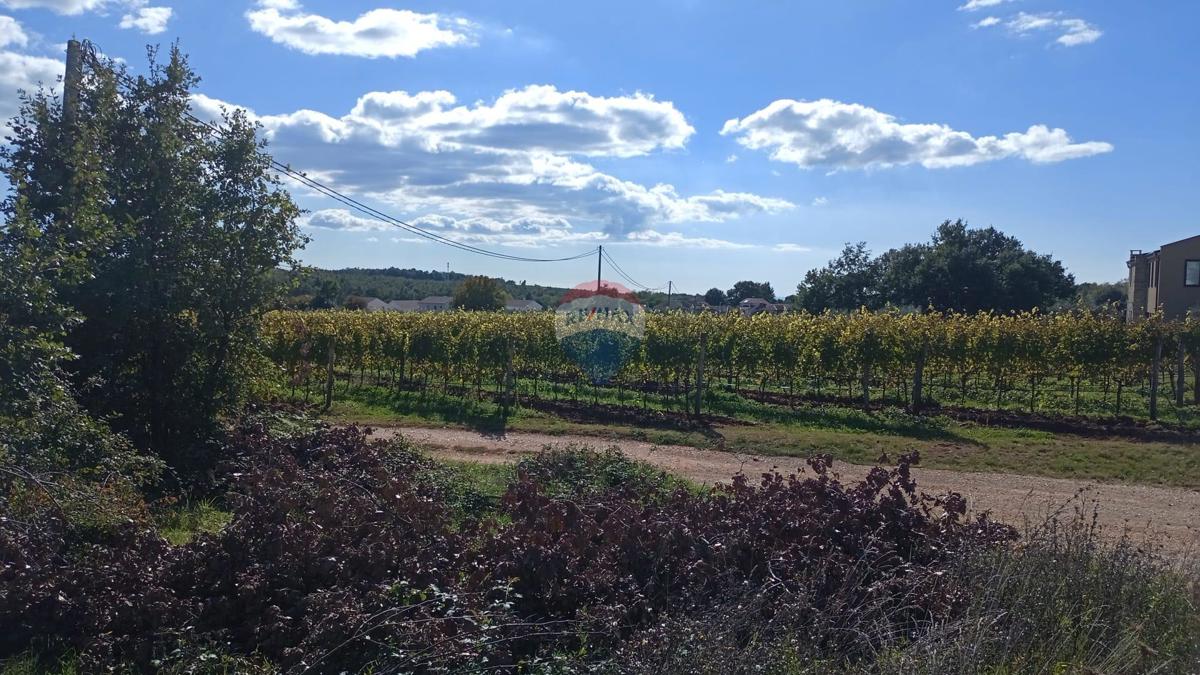 Stavbno zemljišče Baldaši, Vižinada, 1.125m2