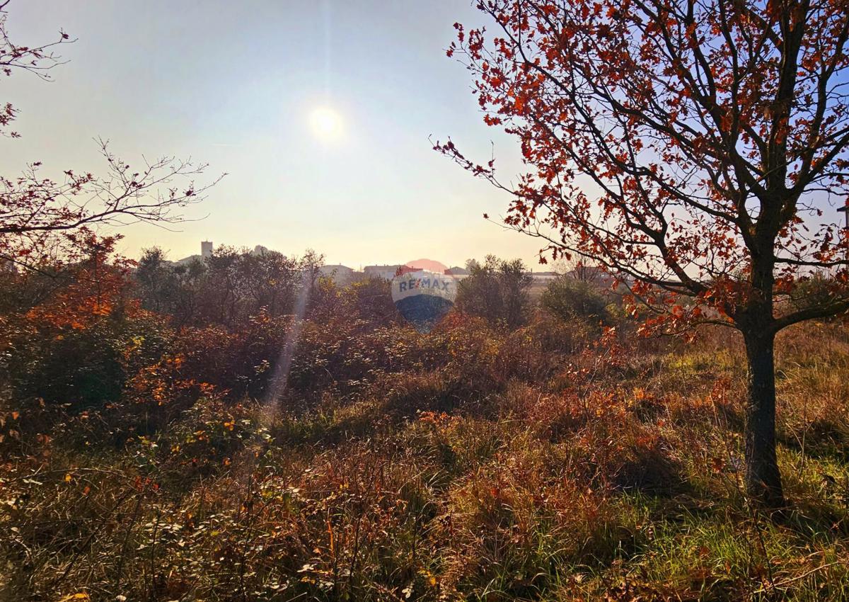 Stavbno zemljišče Brtonigla, 900m2