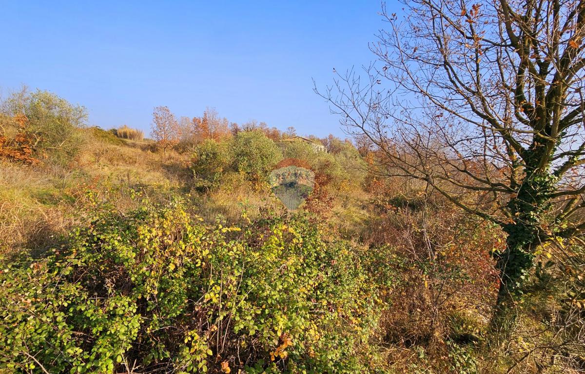 Stavbno zemljišče Brtonigla, 900m2