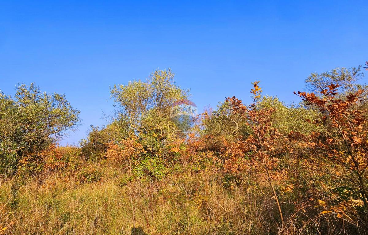 Stavbno zemljišče Brtonigla, 900m2