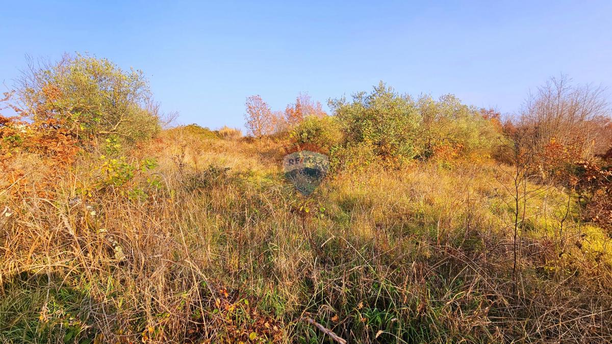 Stavbno zemljišče Brtonigla, 900m2