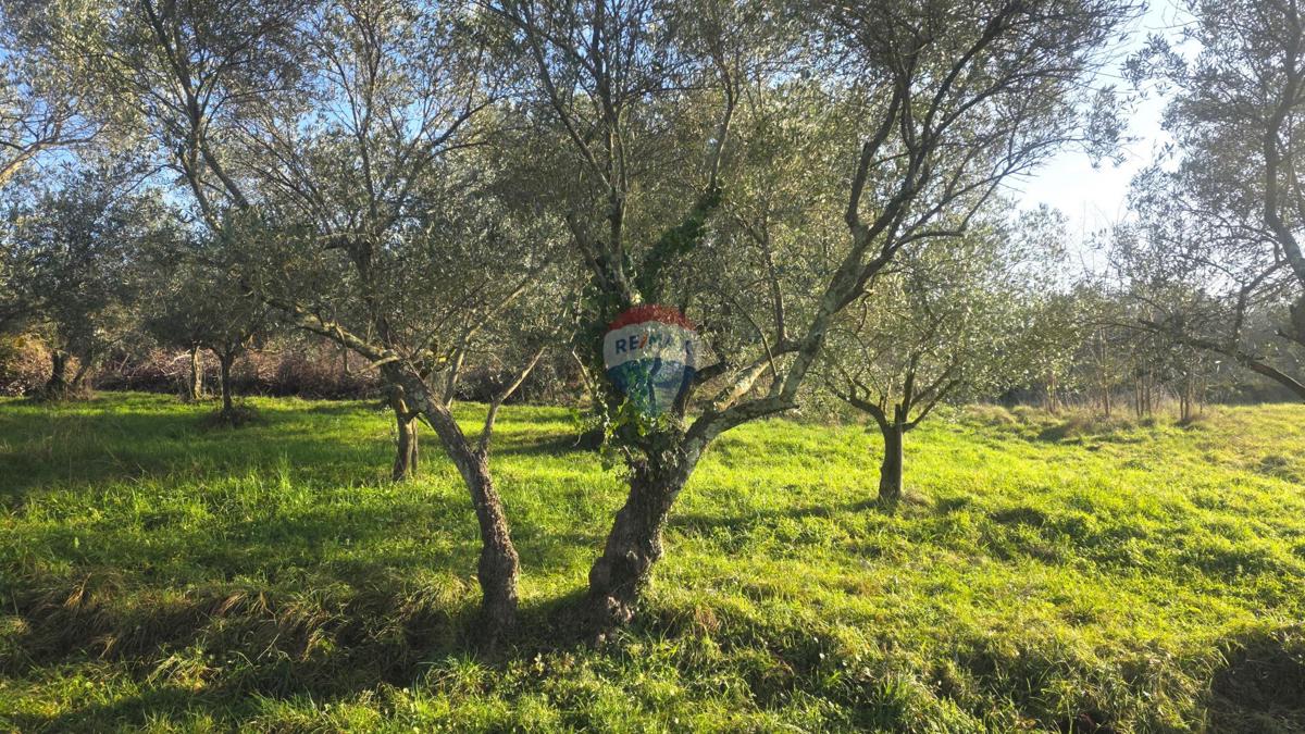 Stavbno zemljišče Lovrečica, Umag, 683m2