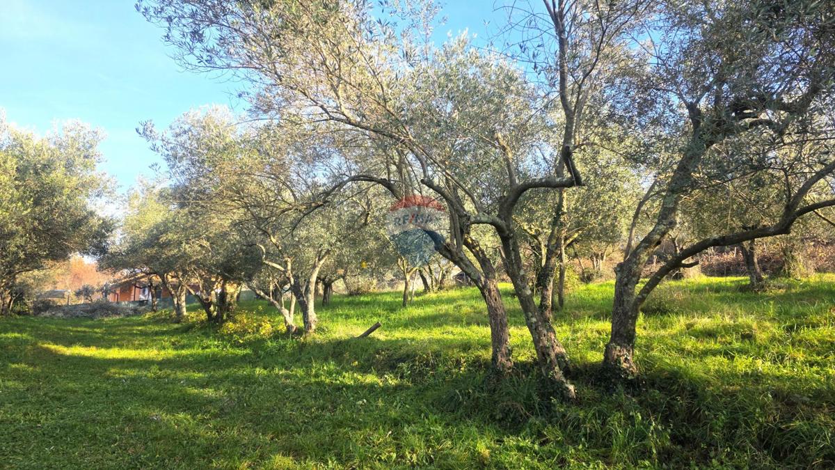 Stavbno zemljišče Lovrečica, Umag, 683m2