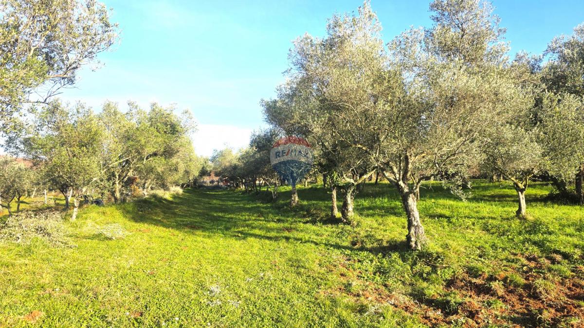 Stavbno zemljišče Lovrečica, Umag, 683m2