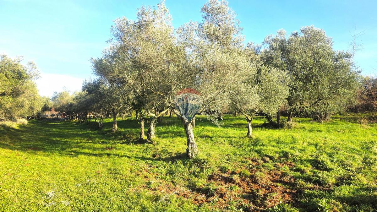 Stavbno zemljišče Lovrečica, Umag, 683m2