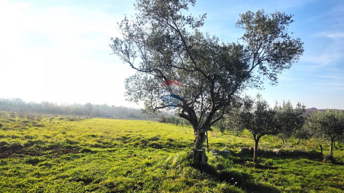 Stavbno zemljišče Lovrečica, Umag, 683m2