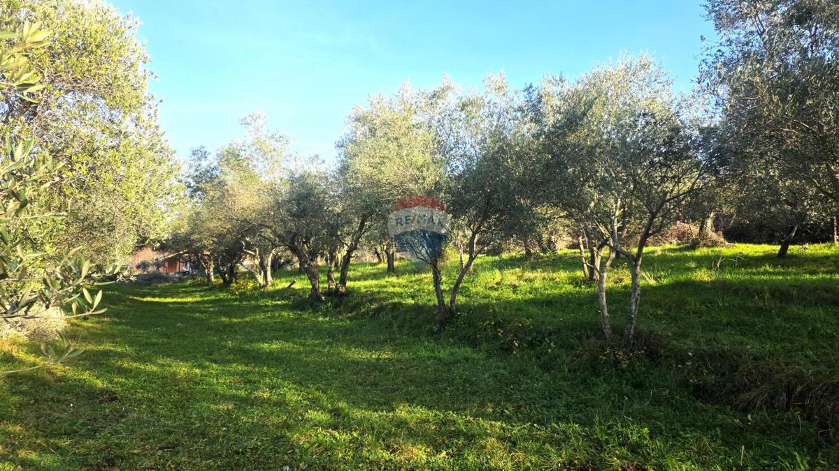 Stavbno zemljišče Lovrečica, Umag, 683m2