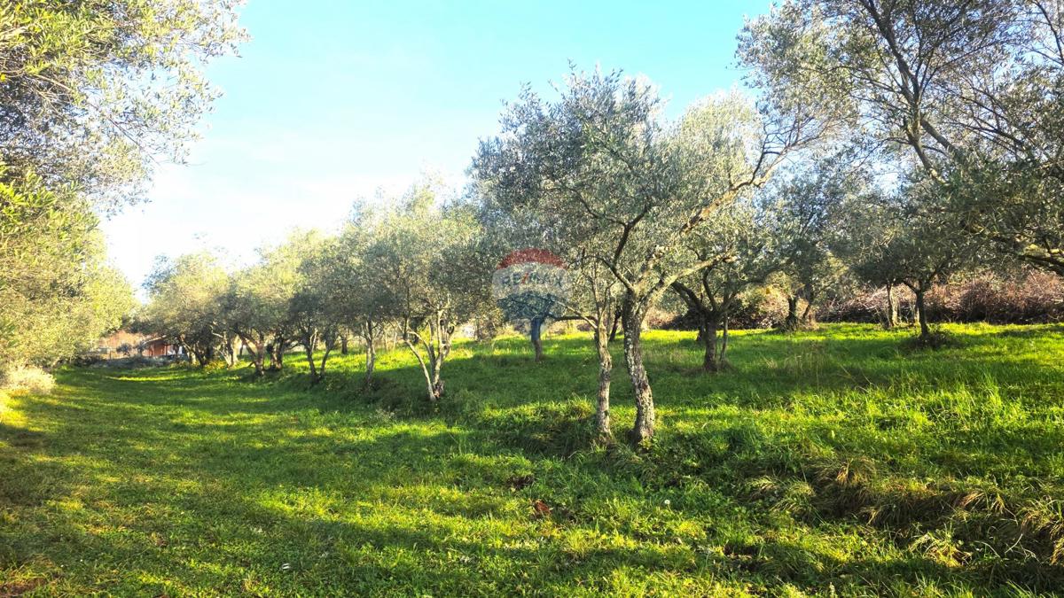 Stavbno zemljišče Lovrečica, Umag, 683m2