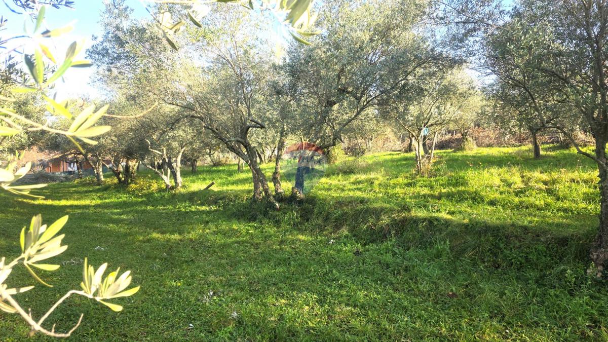 Stavbno zemljišče Lovrečica, Umag, 683m2