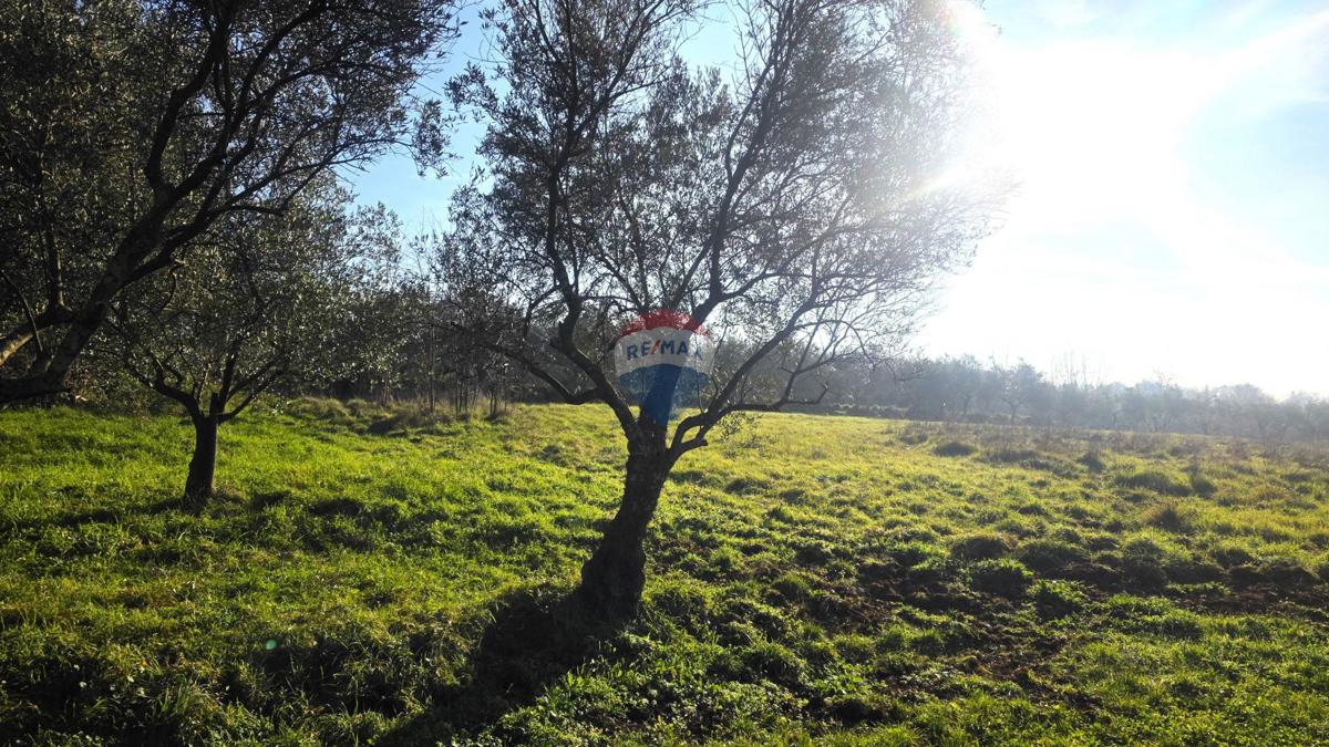 Stavbno zemljišče Lovrečica, Umag, 683m2