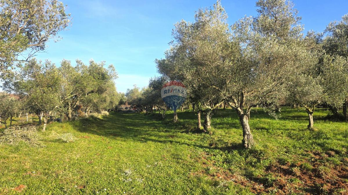 Stavbno zemljišče Lovrečica, Umag, 683m2