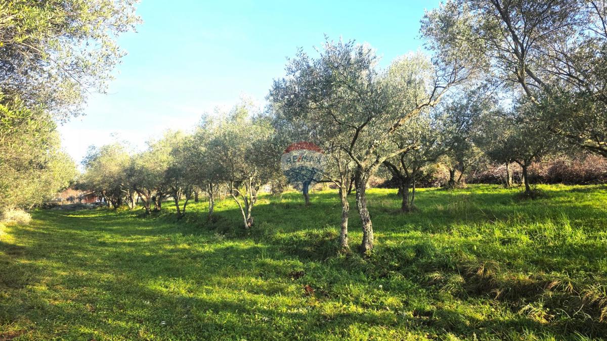 Stavbno zemljišče Lovrečica, Umag, 683m2