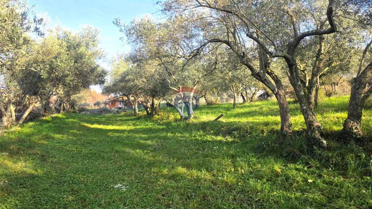 Stavbno zemljišče Lovrečica, Umag, 683m2