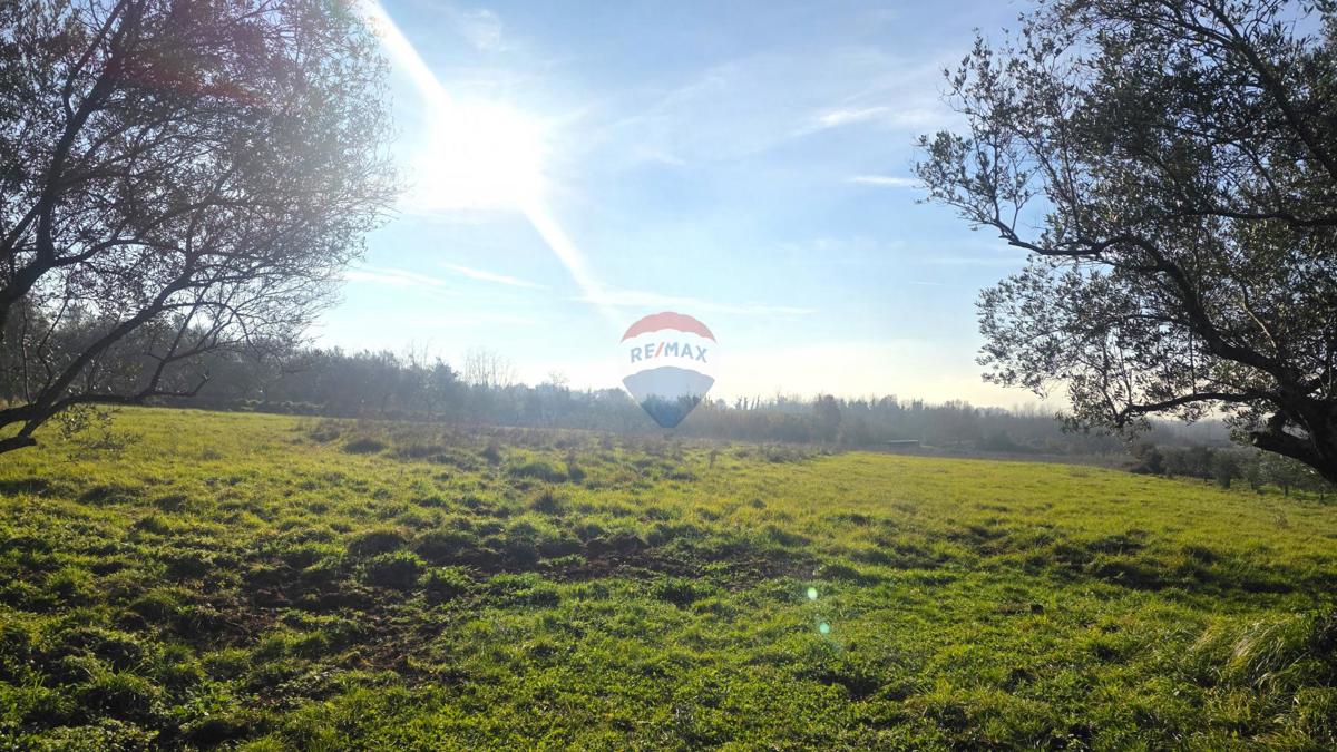 Stavbno zemljišče Lovrečica, Umag, 683m2