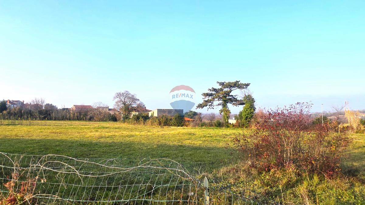 Stavbno zemljišče Brtonigla, 1.048m2