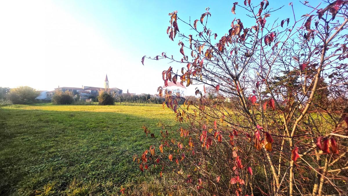 Stavbno zemljišče Brtonigla, 1.048m2