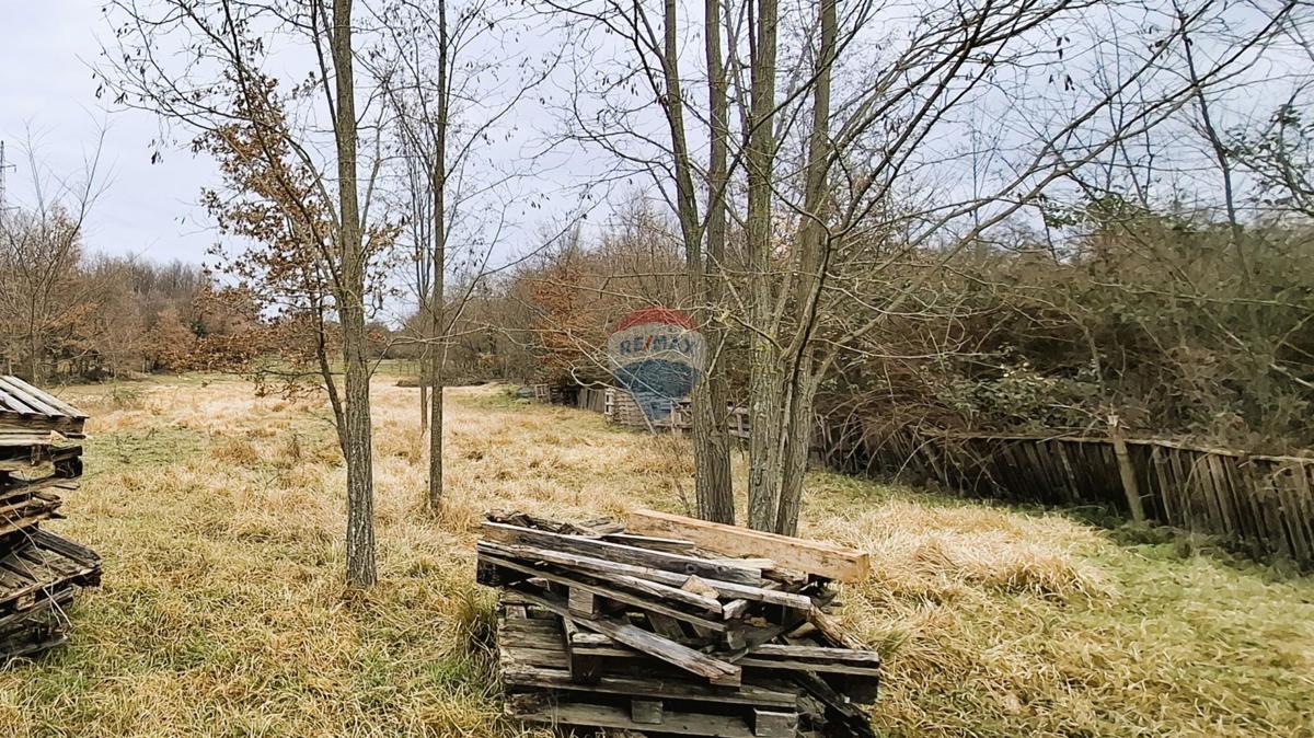 Istra, Brtonigla, kmetijsko zemljišče 9.862 m²