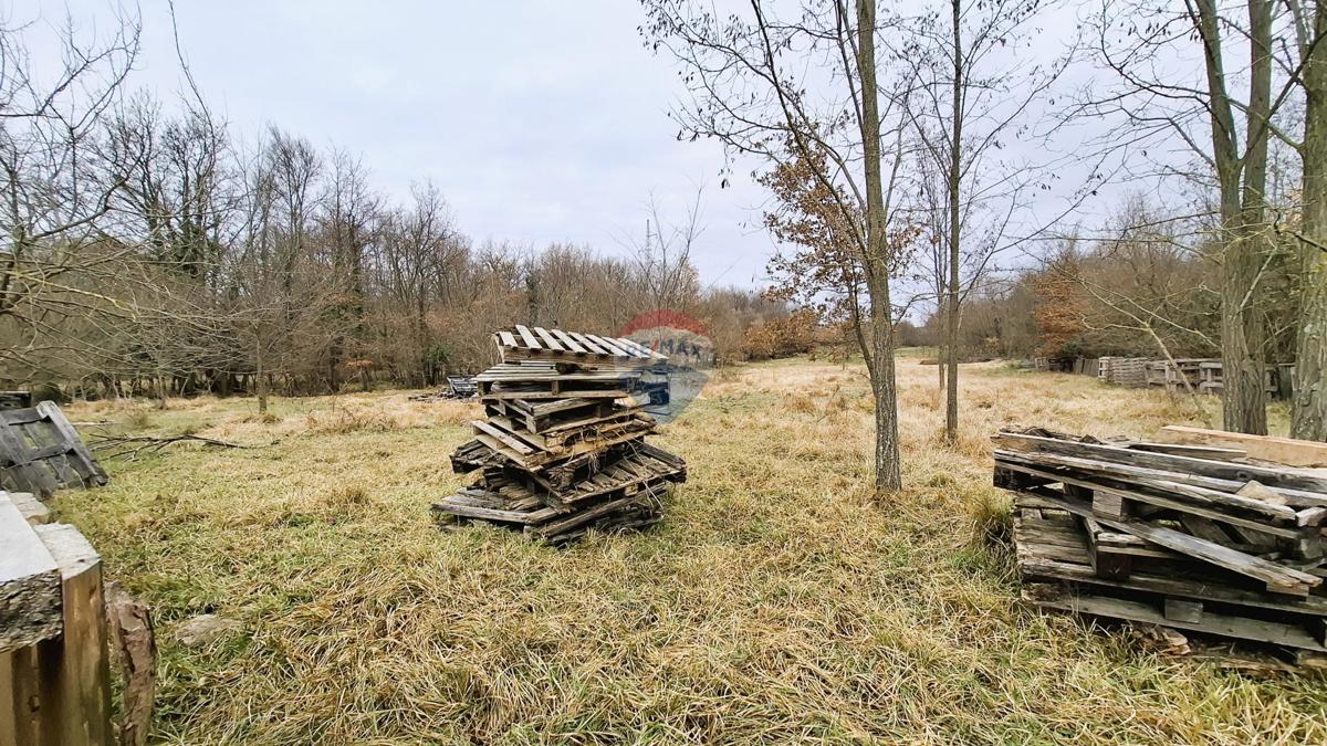 Istra, Brtonigla, kmetijsko zemljišče 9.862 m²