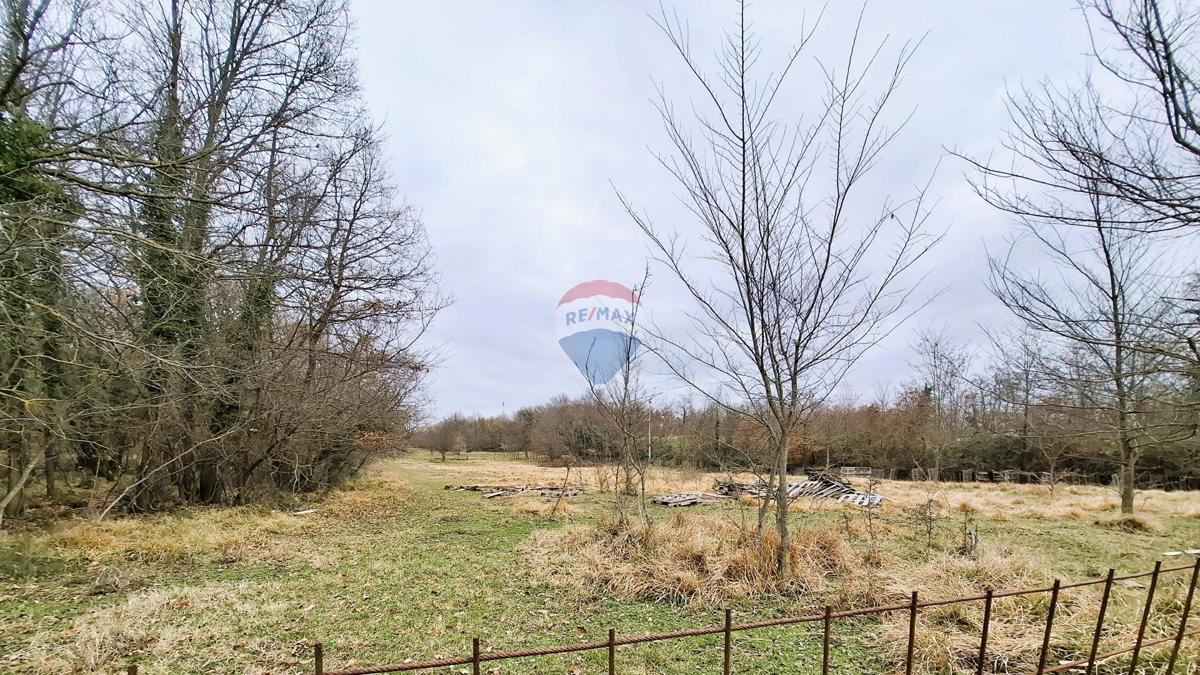 Istra, Brtonigla, kmetijsko zemljišče 9.862 m²