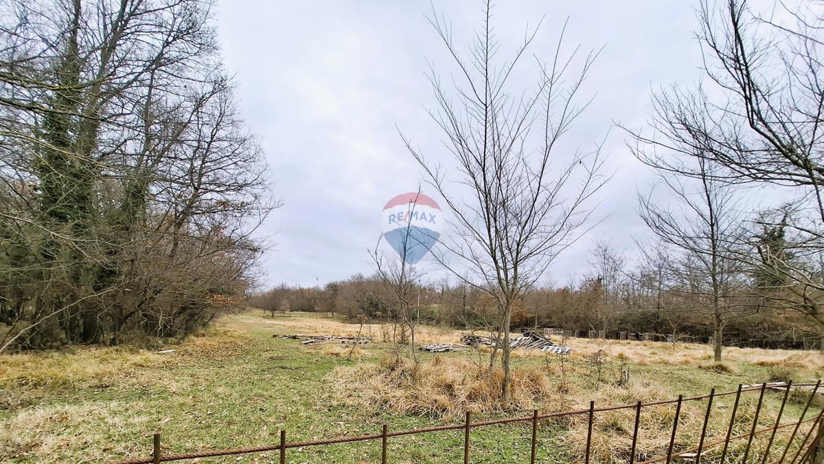 Istra, Brtonigla, kmetijsko zemljišče 9.862 m²