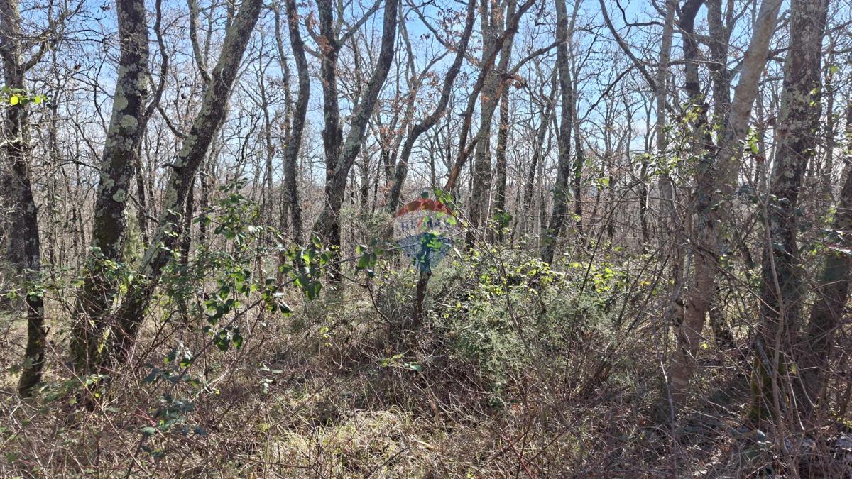 Stavbno zemljišče Momjan, Buje, 9.442m2