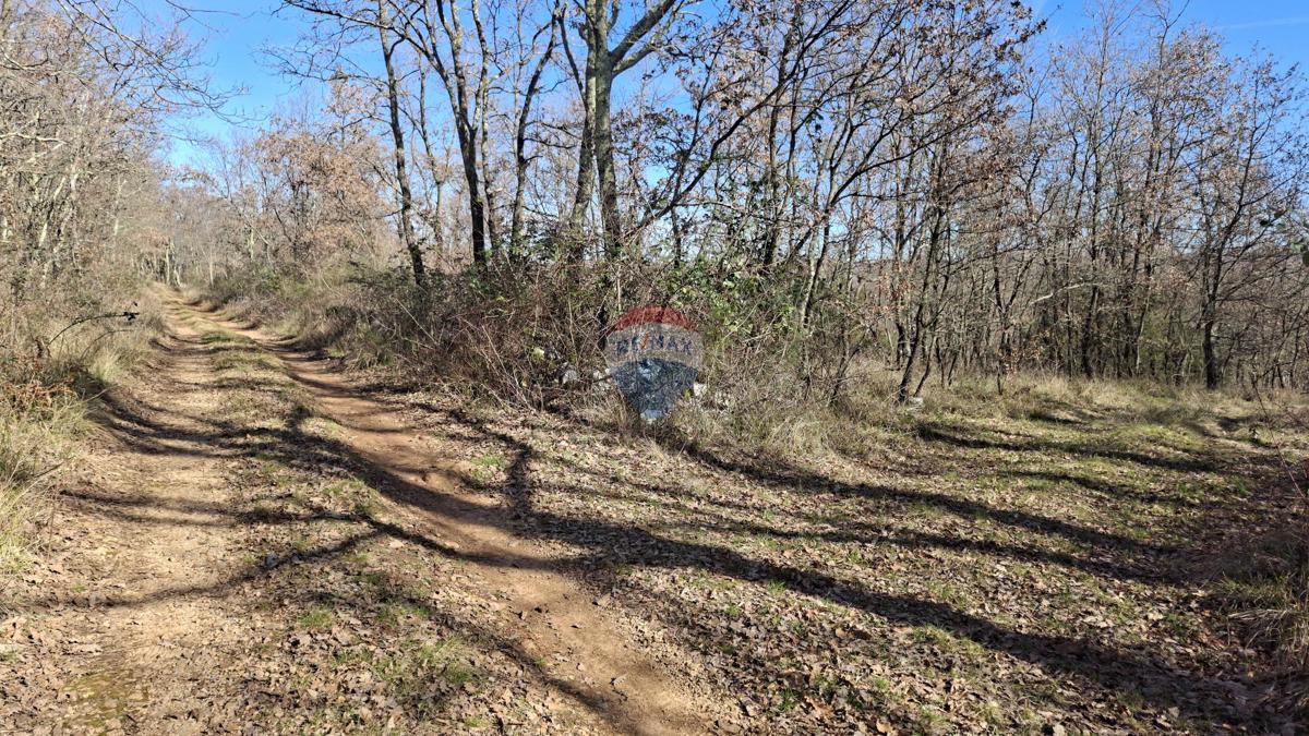 Stavbno zemljišče Momjan, Buje, 9.442m2