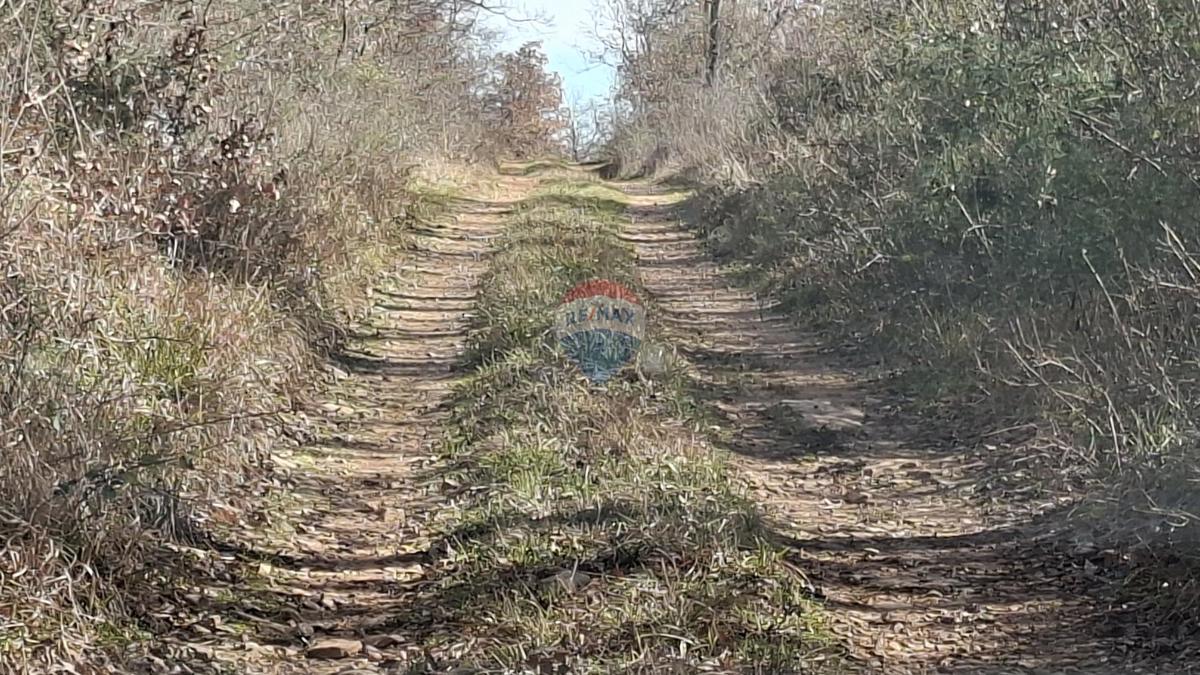 Stavbno zemljišče Momjan, Buje, 9.442m2