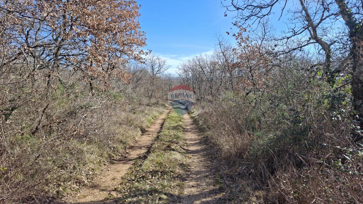 Stavbno zemljišče Momjan, Buje, 9.442m2