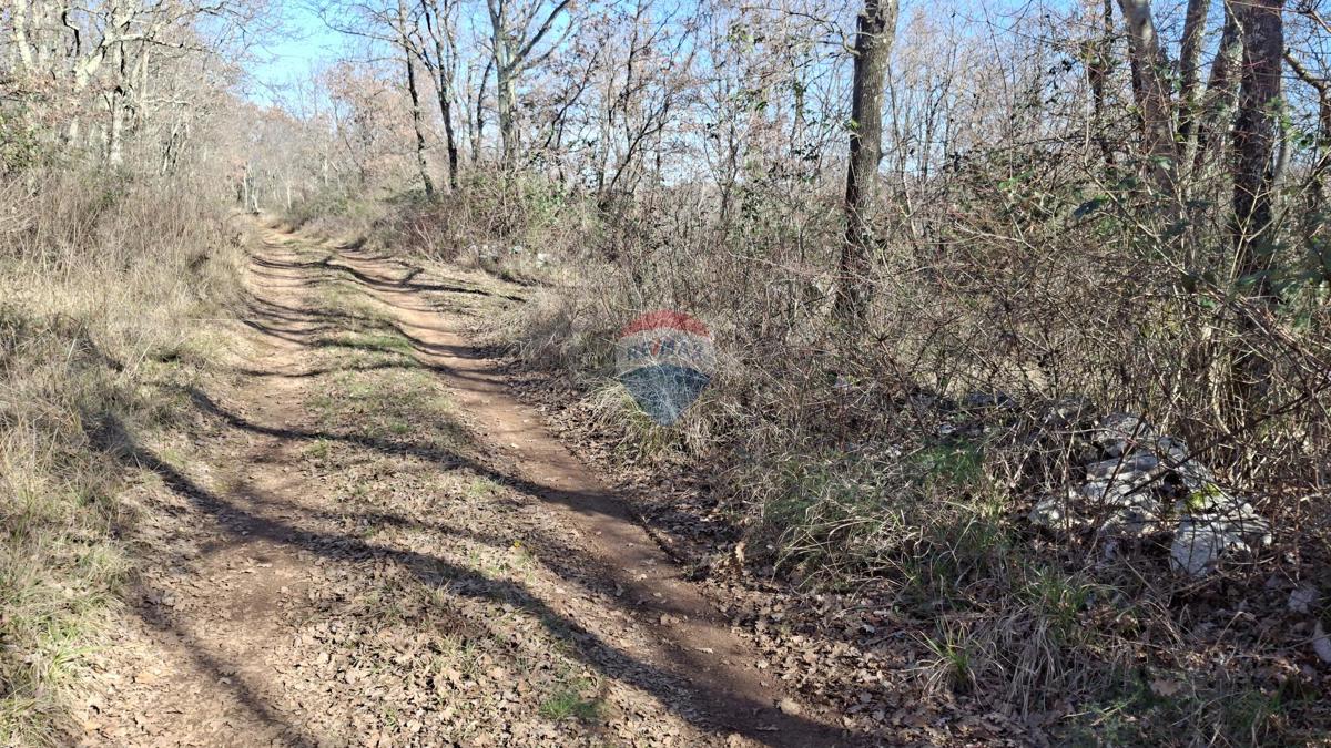 Stavbno zemljišče Momjan, Buje, 9.442m2