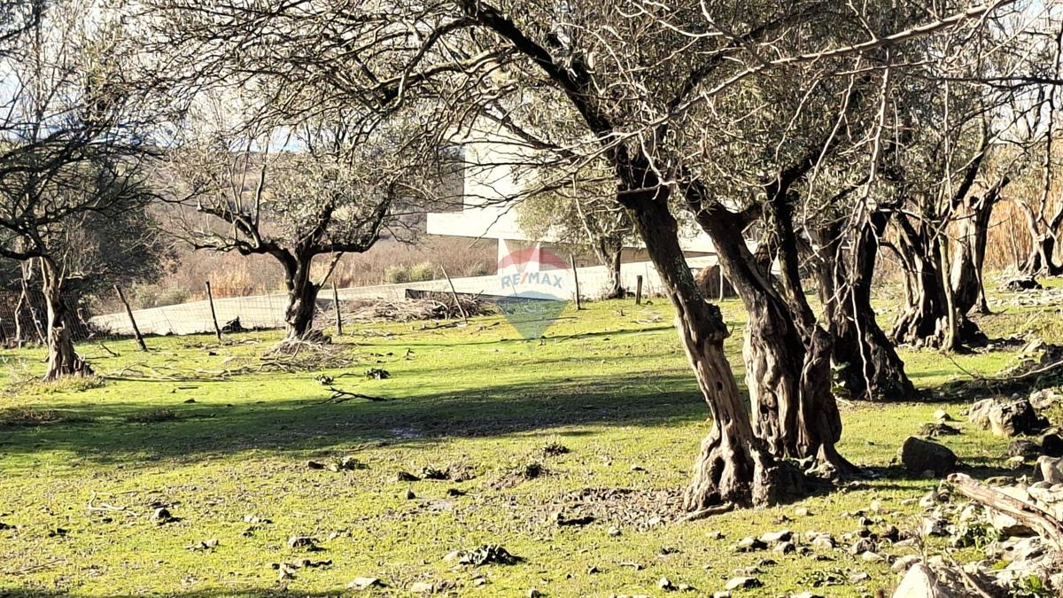 Stavbno zemljišče Krasica, Buje, 2.133m2